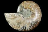 Agatized Ammonite Fossil (Half) - Madagascar #114933-1